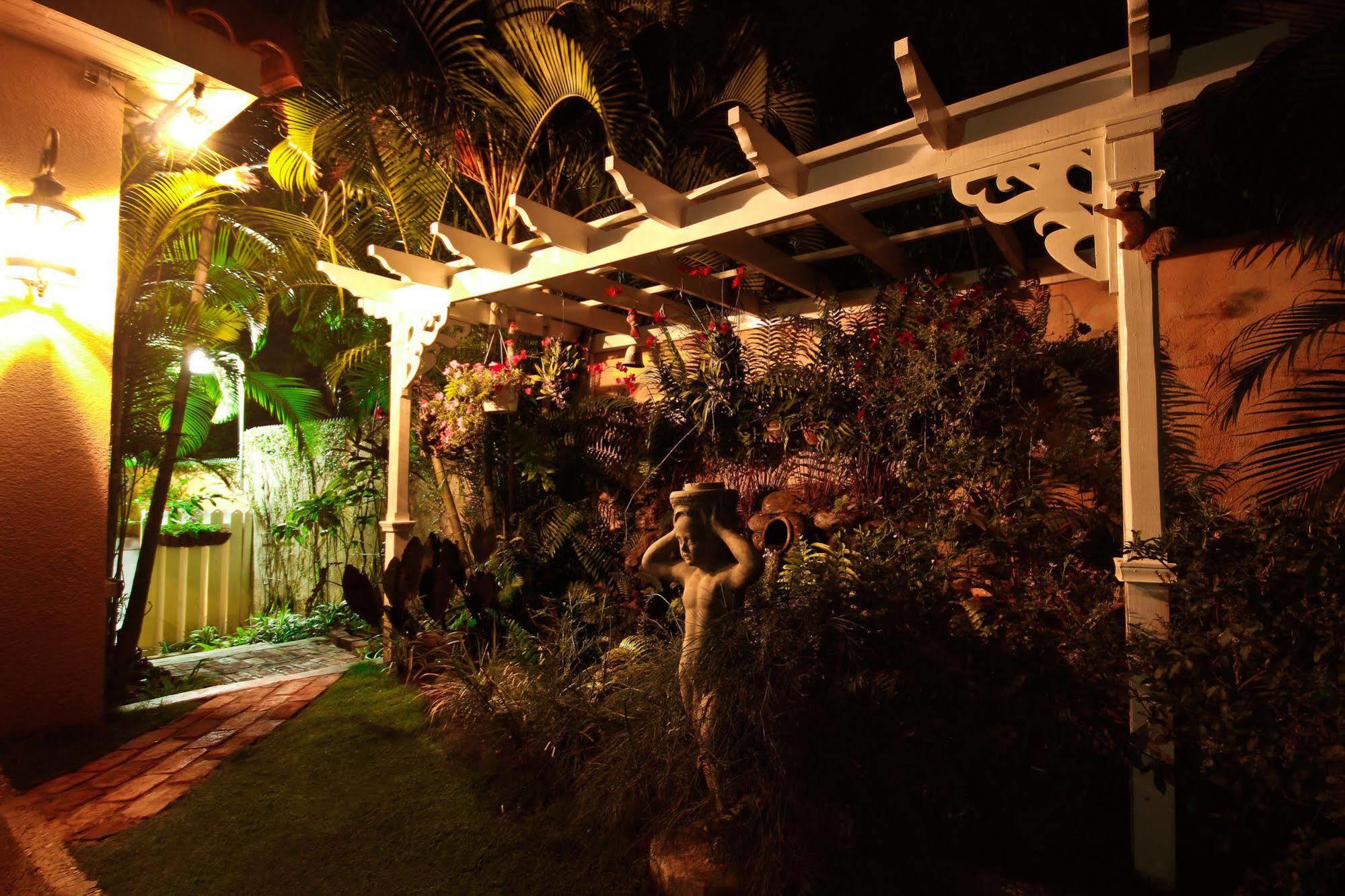 Cattleya Luxury Suites Kingston Exterior foto