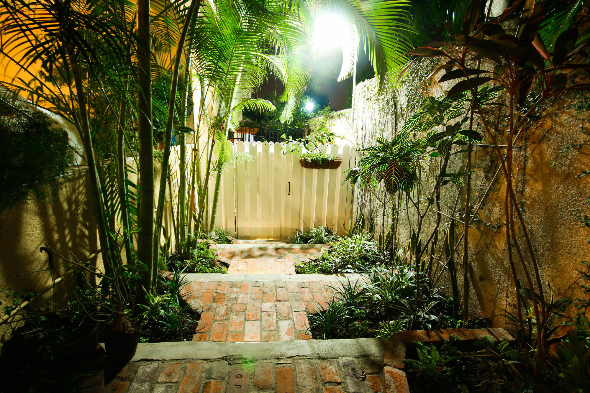 Cattleya Luxury Suites Kingston Exterior foto